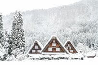 【今年あった障害年金ニュース3選】「不支給問題、どんな障がいが多かった？」年金と給付金合わせて「年6回で約112万円もらえる？」