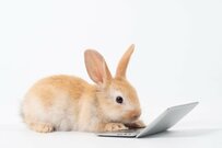 【老後不安】公的年金や退職金の見込額はどう調べる？足りない場合の老後対策3選