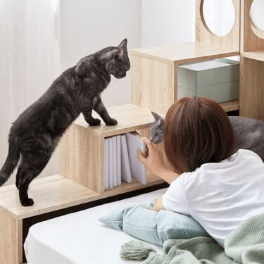 幅80] LOWYA ローテーブル 猫と暮らそう