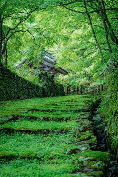 投稿の画像