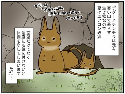 チンチライフ第186話