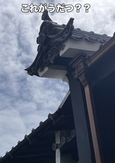 出所：<u><a href="https://www.instagram.com/p/DaggeqflAXp/?locale=ja_JP&img_index=1" target="_blank">@</a></u><u><a href="https://www.instagram.com/p/DaggeqflAXp/?locale=ja_JP&img_index=1" target="_blank">douminfufu</a></u>