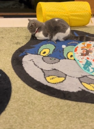 投稿動画のワンシーン