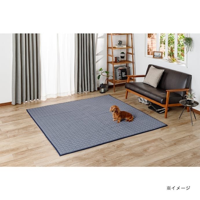 ＆Pet UDCラグ Pitapa ネイビー 185×185cm
