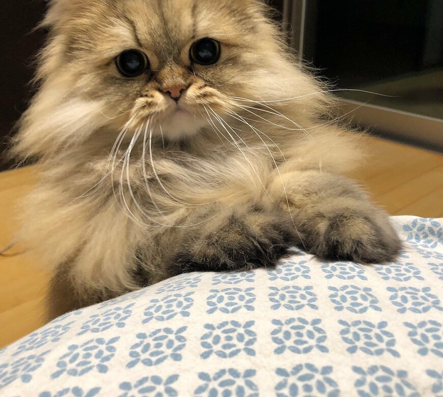 出所：@UphQepCv8J