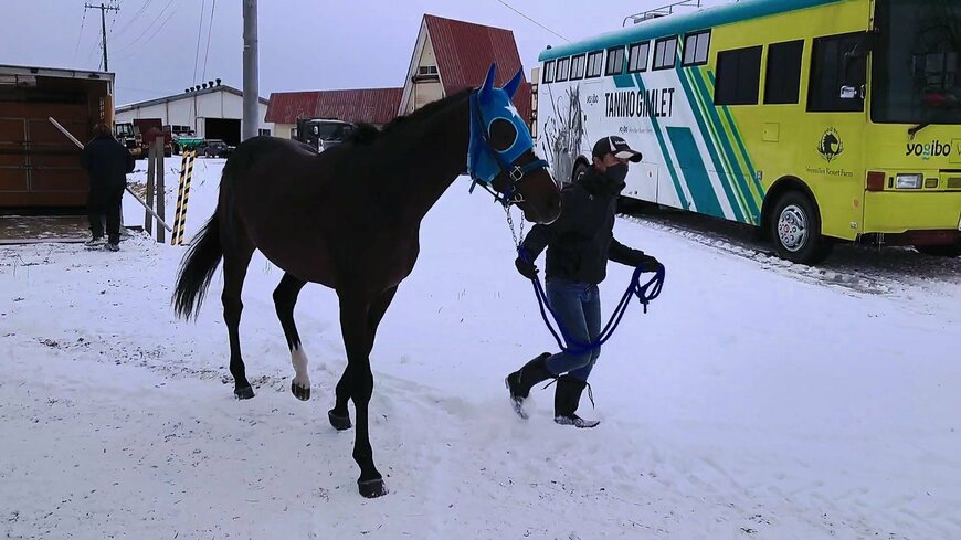 出所：Yogiboヴェルサイユリゾートファームツイッターアカウント 