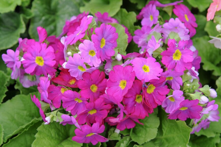 Peter Turner Photography/shutterstock.com