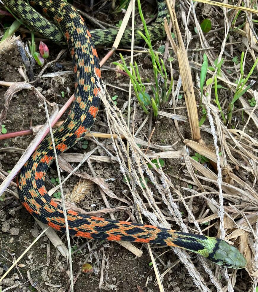 出所：@GtYb1nWNyK1W1m5