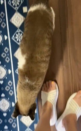 出所：@hidamari77777