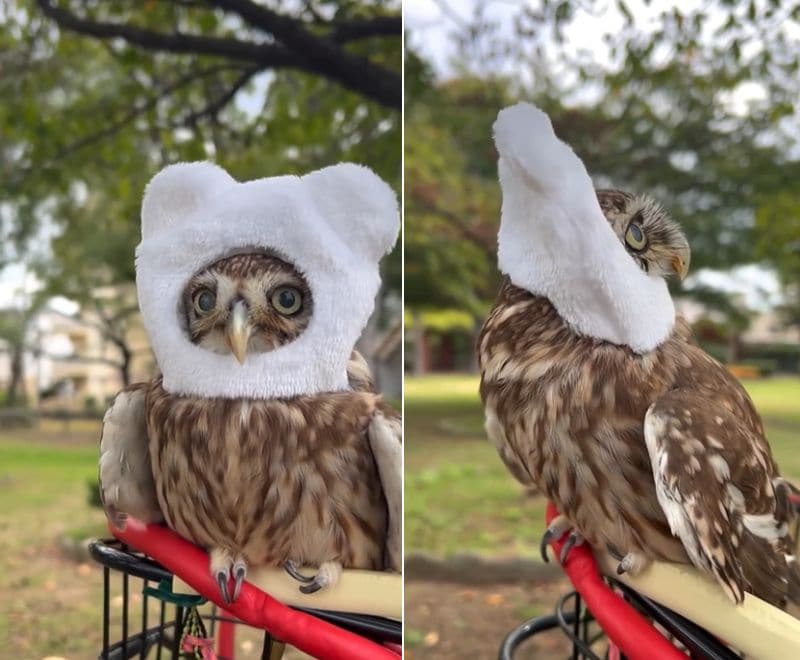 出所：@cr8673.hiro