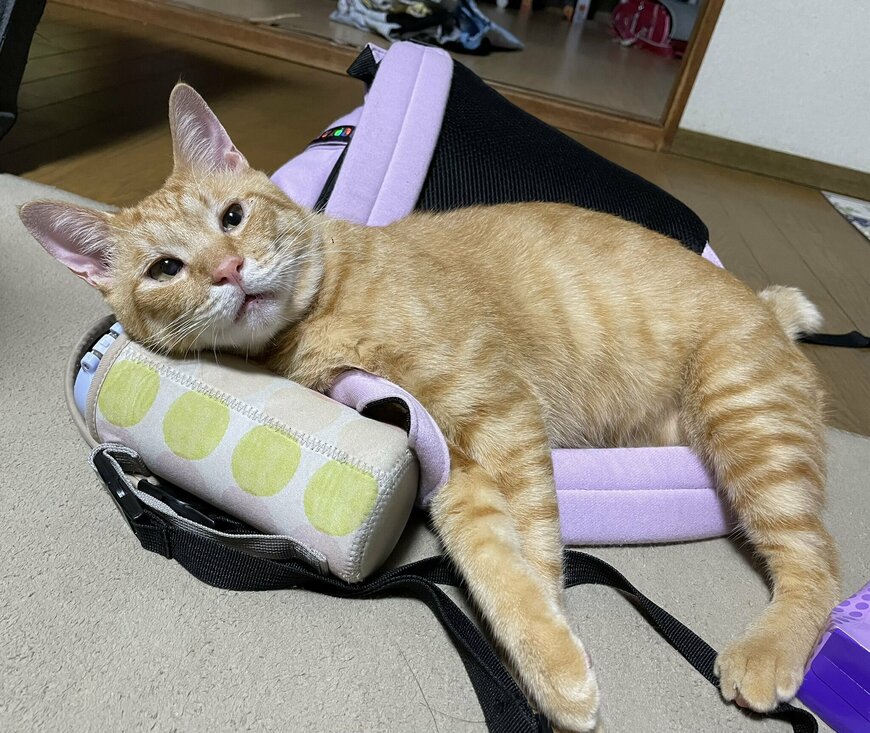 出所：@Beercat_Ana_Dar