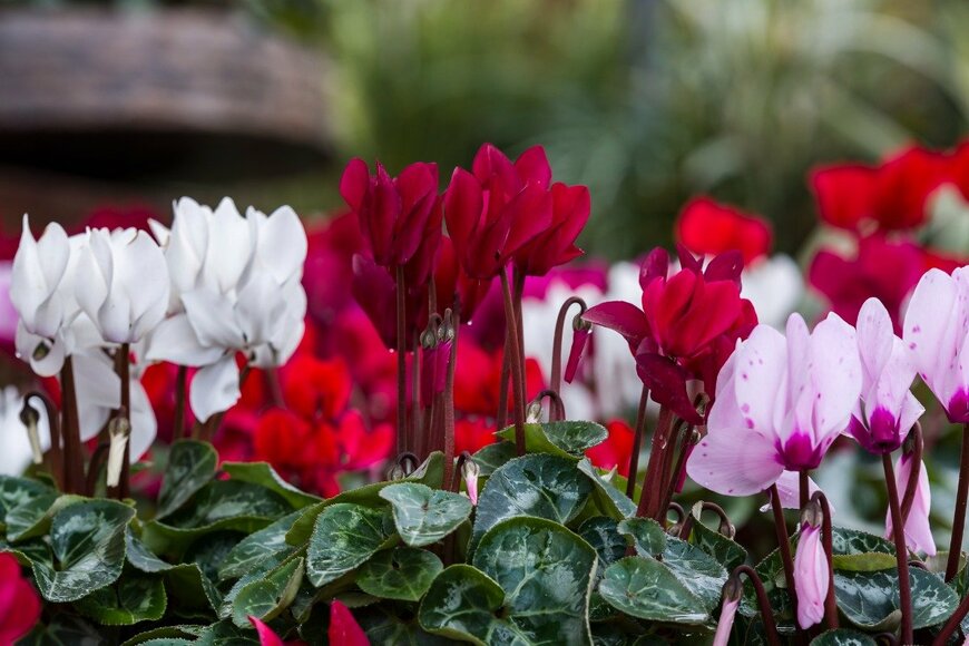 zilber42/istockphoto.com