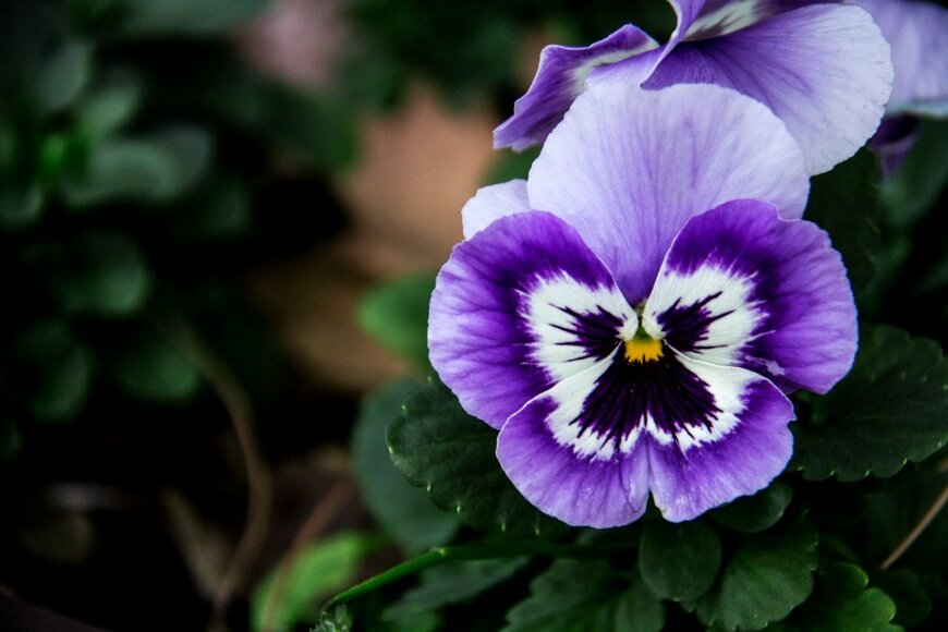 sultancicekgil/istockphoto.com