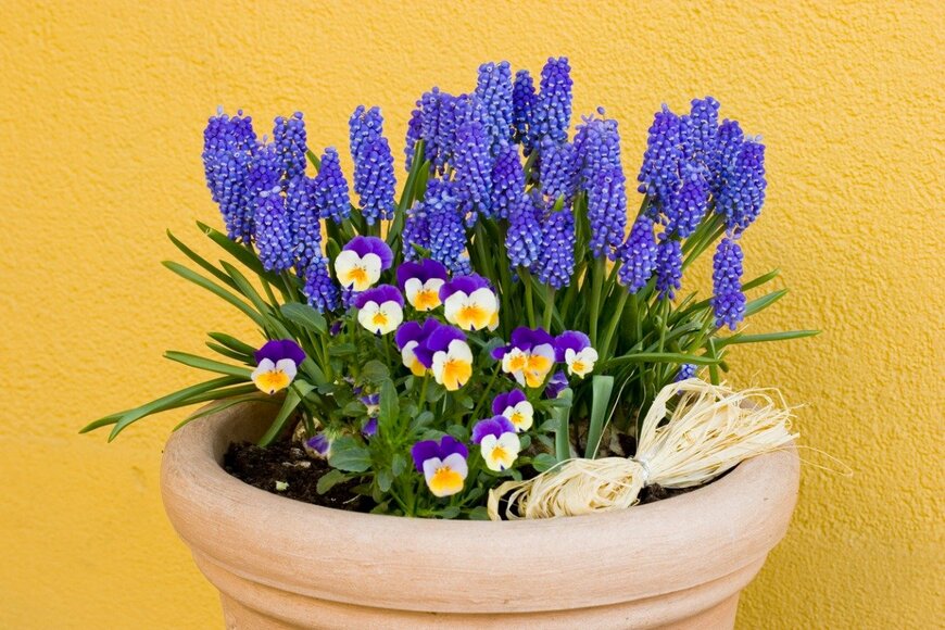 HeikeKampe/istockphoto.com