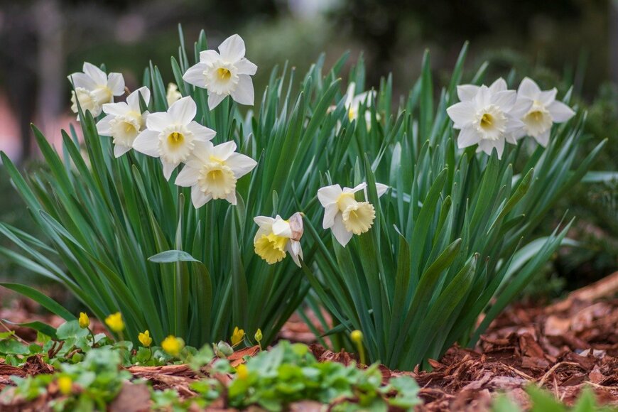 Iva Vagnerova/istockphoto.com