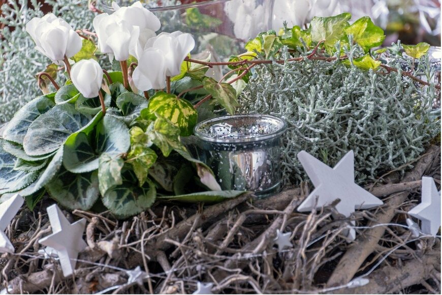 Elisabeth Schittenhelm/istockphoto.com