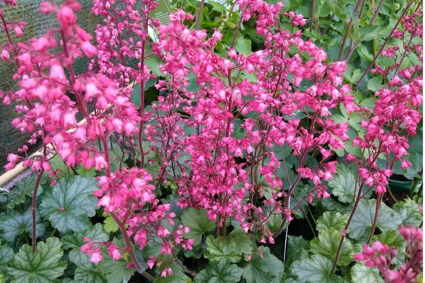 John Caley/istockphoto.com