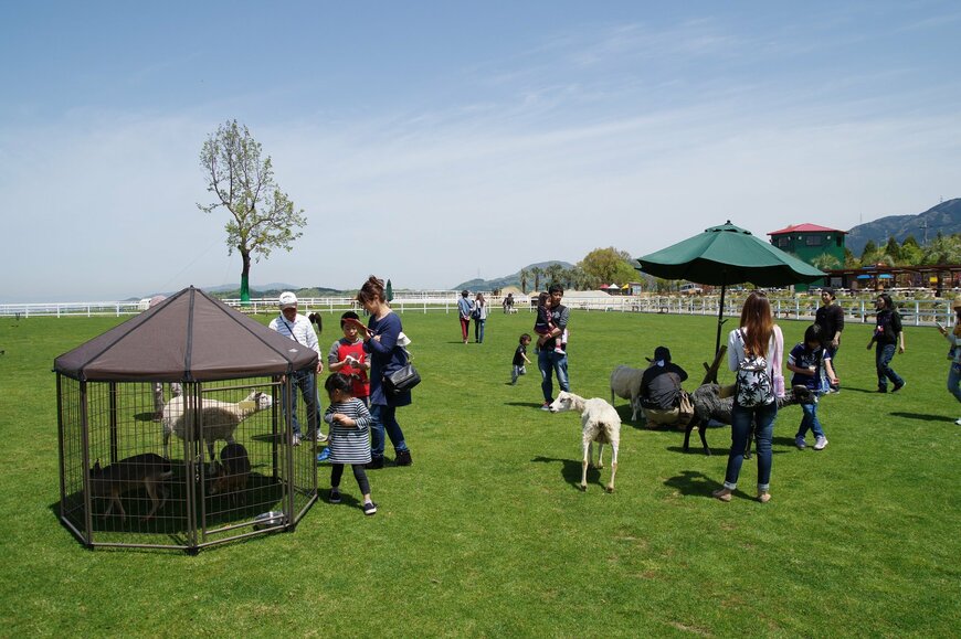 画像出所：ワールド牧場