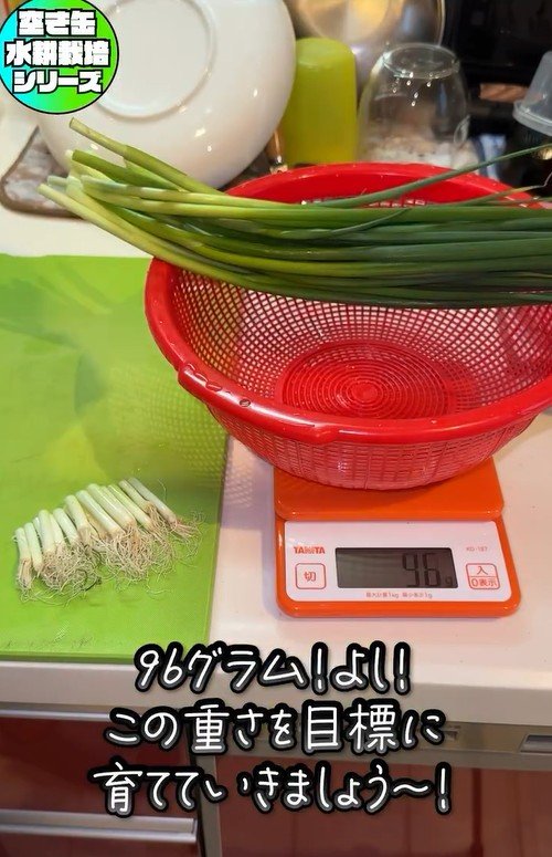 出所：mikanbo_ya19_87