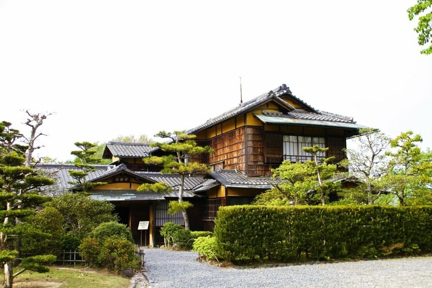 実家の地下室から出てきた「お宝」に思わず目を疑う　約50年前に仕込まれたものに「羨ましいです」