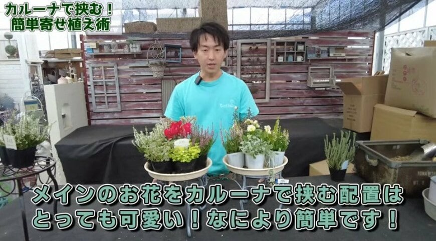 出所：@petit_fleur