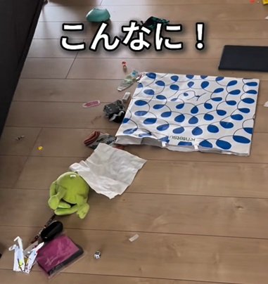 「これめっちゃいい！」ダイソーの〈ワイヤーネット〉→物が入り込まない＆収納もできる一石二鳥の「ソファ下」に変身！