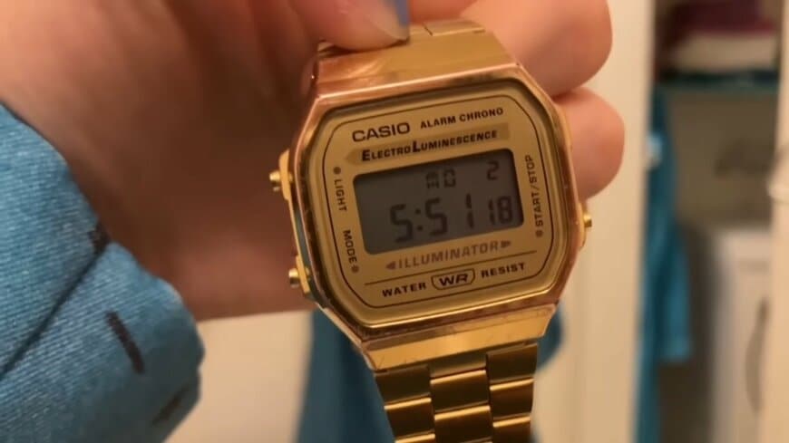 pecoのYouTube投稿