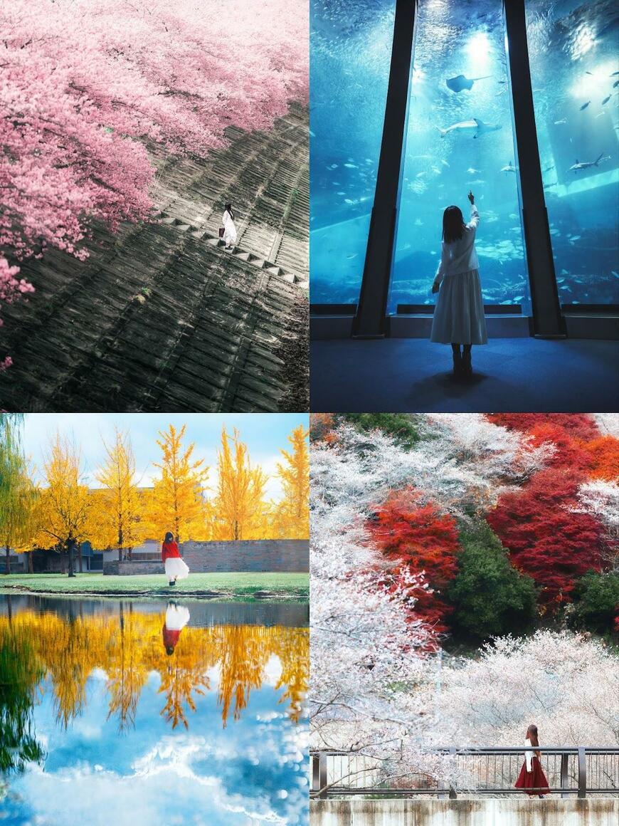 日本の美しい風景の数々