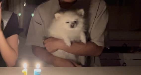 不満そうなお顔がかわいい