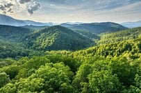 千葉県の山中で発見した「湯呑みに記された文字」に目を疑う　「珍しい！」「欲しすぎる」