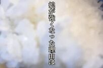 元料理人のシングルファザーが「女子高生の娘」に作る　彩りハンバーグ弁当がたまらない「本当にいい親子」