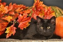 不労所得は老後に有効？60歳以上で不労所得がある人の割合や年金収入の実態とは