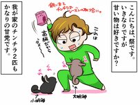 おやつをめぐる頭脳戦!? 飼い主 vs チンチラの攻防の結末は…【チンチライフ12話】
