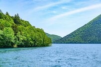 北海道で見つけた「線路が沈んでいる湖」に驚き　「ジブリのような世界観」に思わず目を疑う