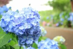 【2026年度】遺族基礎年金「年間約84万7000円」へ増額！《2028年度》遺族厚生年金の新制度「影響を受ける人・受けない人」の違いをみる