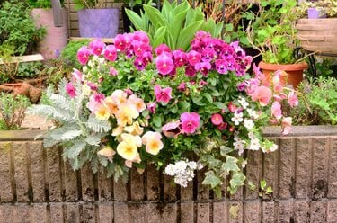 たった3苗で【センスのいい寄せ植え】4か月以上ずっと飾れる「季節ごと