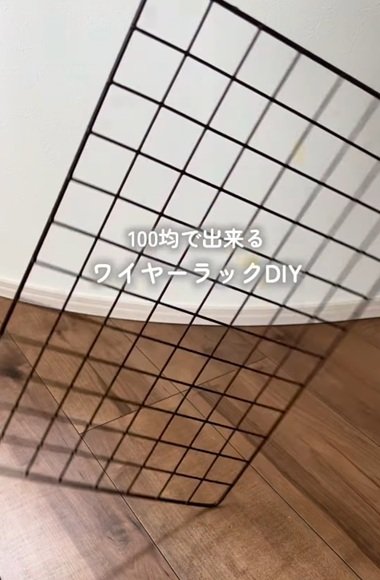 変身前のワイヤーネット
