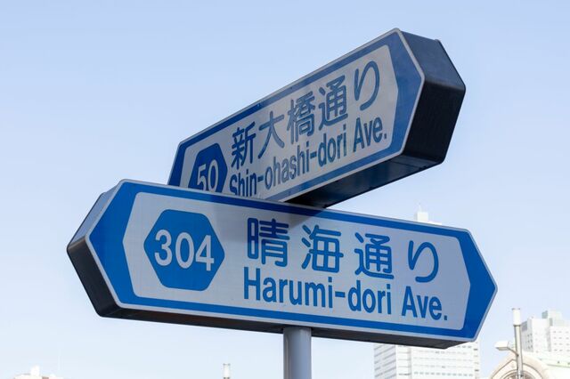 あまりにもレアカード感満載の「新奥多摩街道」の標識を発見 　「レインボーロード」「ゲーミング標識」