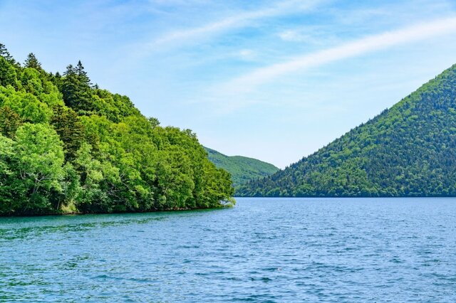 北海道で見つけた「線路が沈んでいる湖」に驚き　「ジブリのような世界観」に思わず目を疑う