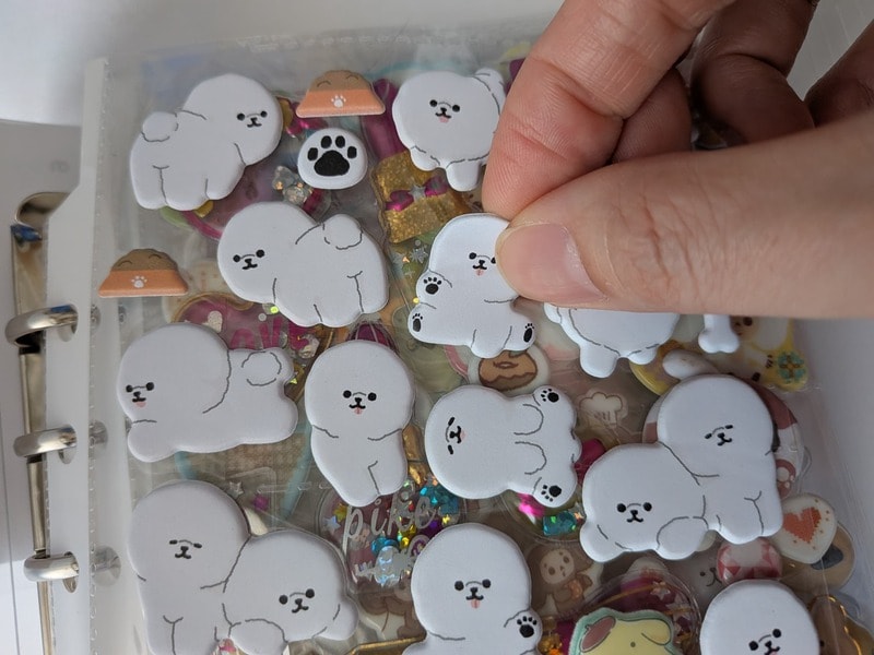 セリア　6リング用 高透明カードリフィル 10P