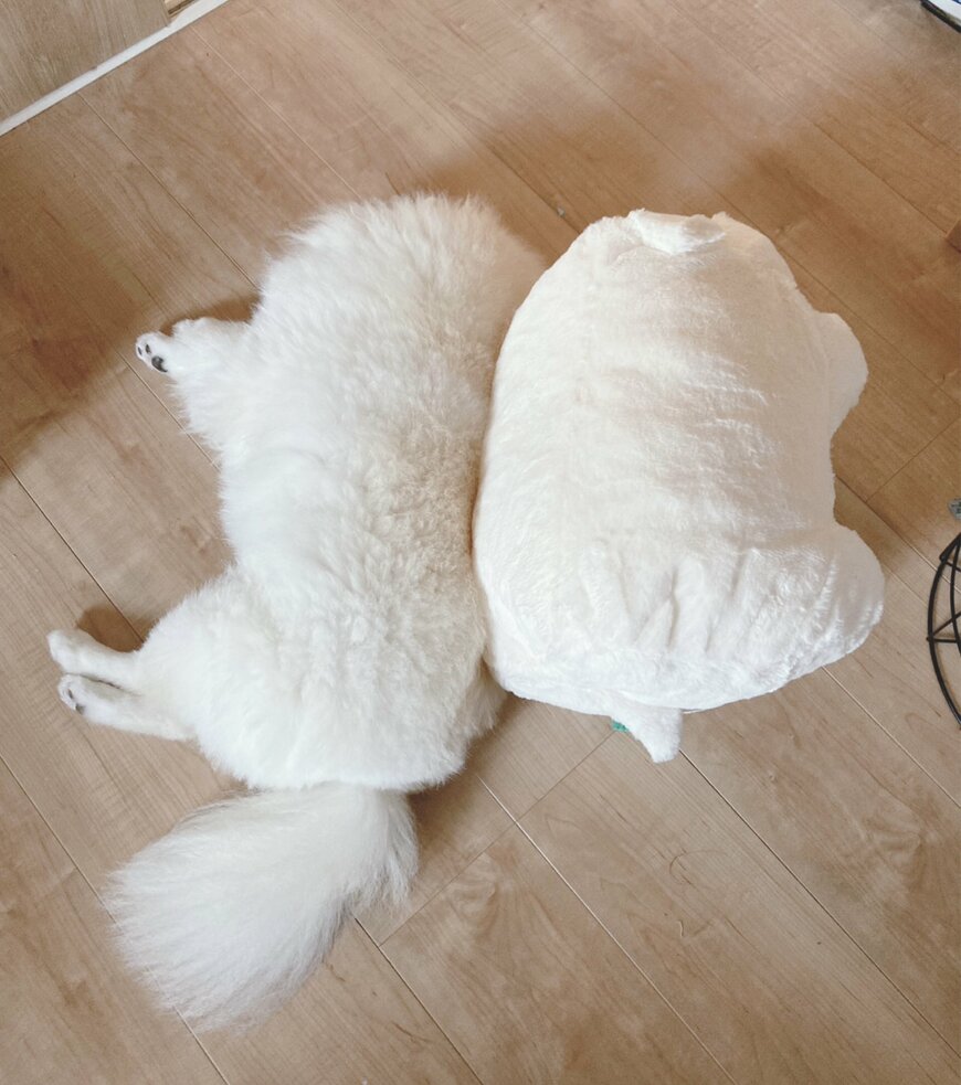 出所：@chikuwa78107742