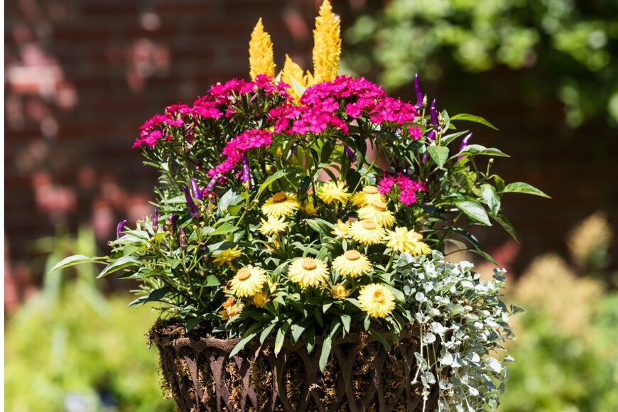 Xianghong Garrison/istockphoto.com