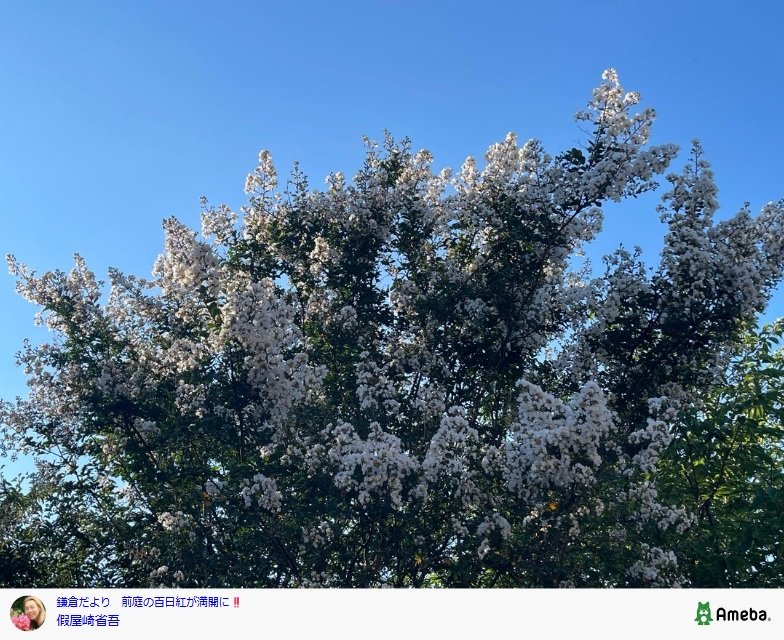 出所：假屋崎省吾のAmebaブログ 参照日：2025年7月30日