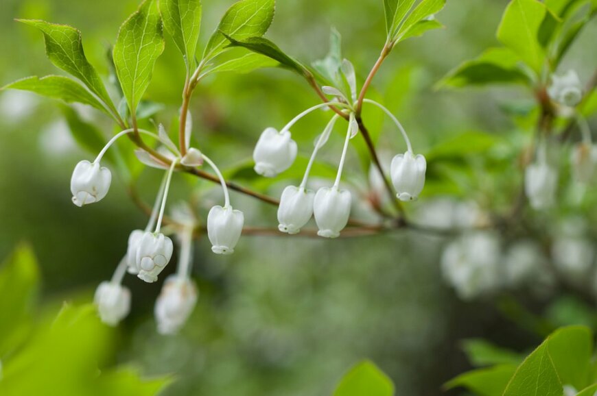 H.Tanaka/istockphoto.com