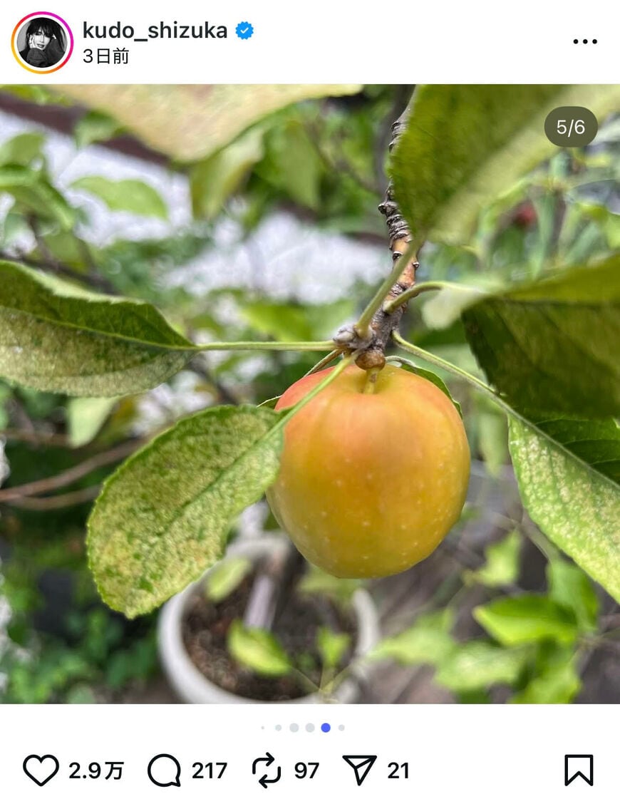 出所：工藤静香のInstagram（＠kudo_shizuka）参照日：2025年9月16日