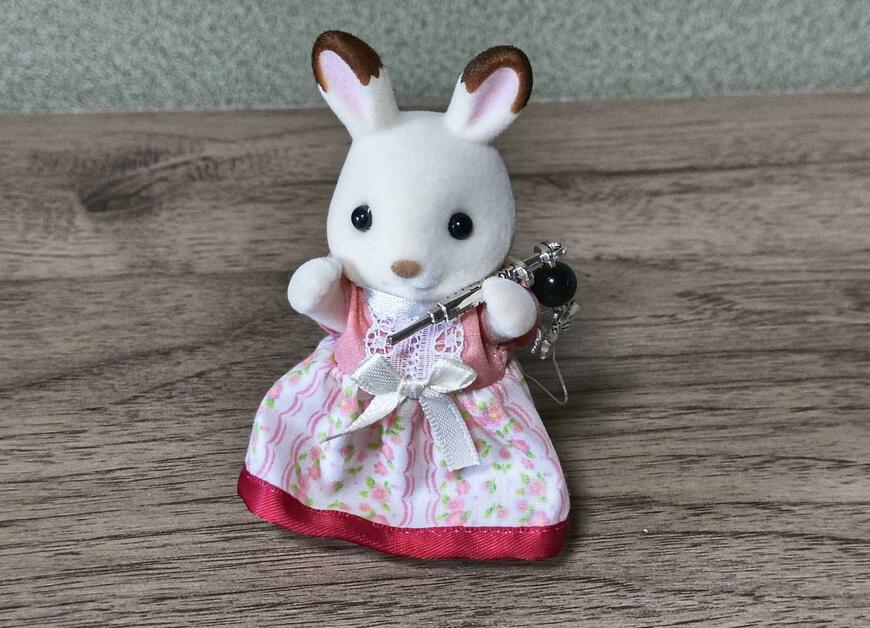 筆者撮影（セリア、ピアス 地雷系）