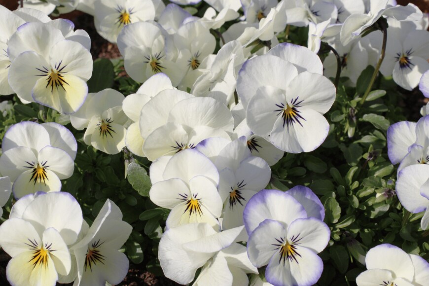 Teresa Design Room/shutterstock.com