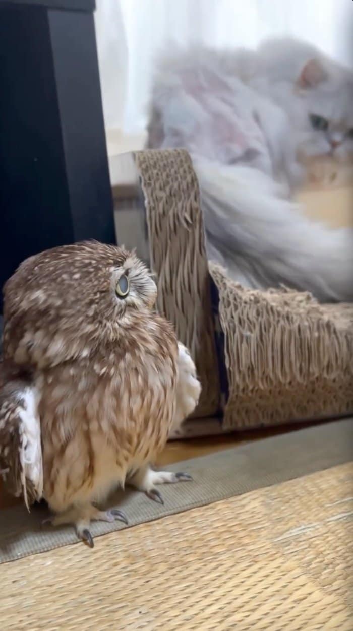 出所：@cr8673.hiro