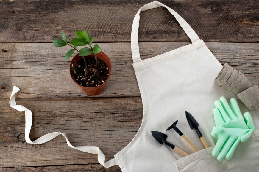 HalynaRom/shutterstock.com