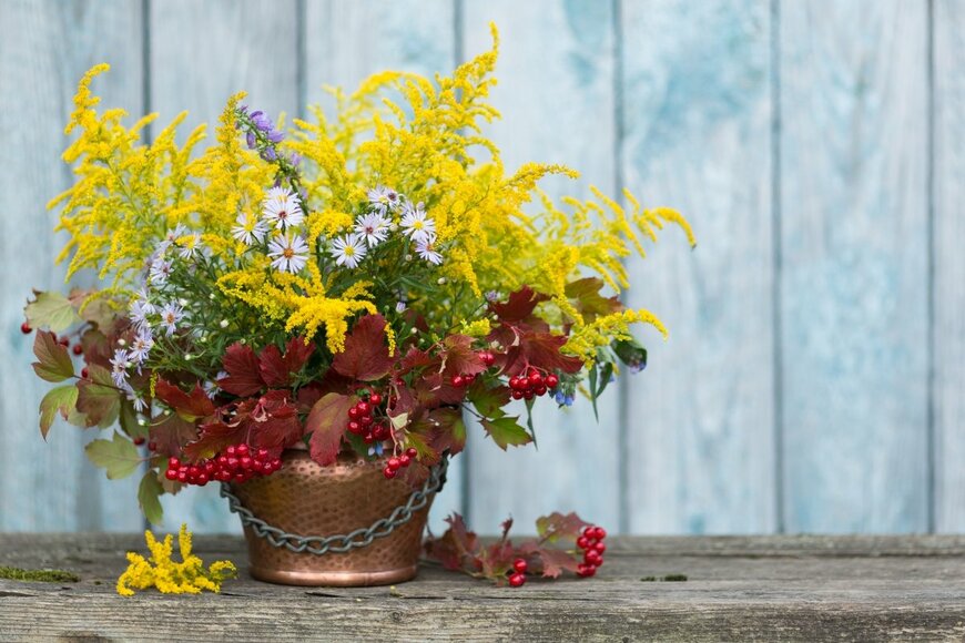 Arina_B/shutterstock.com